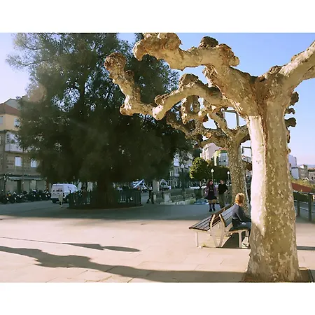Despierta Con Vistas únicas A La Ría De Apartamento Vigo